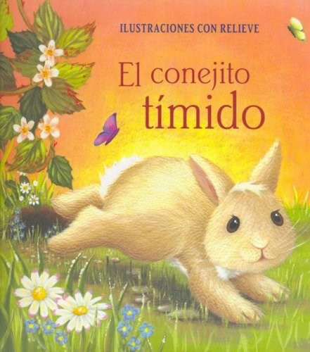 Libro Importado Conejito Timido Ilustraciones Con Relieve