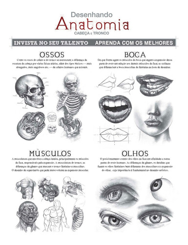 Desenhando Anatomia 4 Volumes