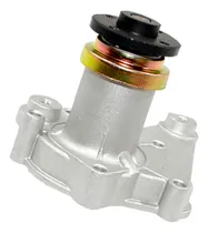 Comprar Bomba De Agua Faw Brio Dfm Cargo Chana Maruti - Carry