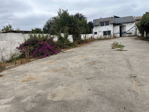 Arriendo Local Comercial Sector Céntrico Y Urbano Quillota