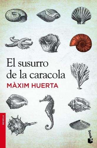 Susurro De La Caracola,el - Huerta,maxim