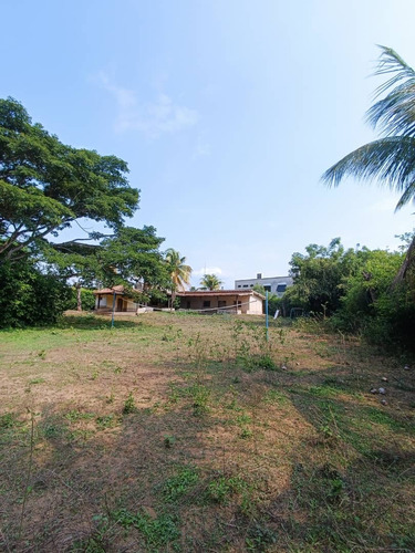 Sky Group Vision Vende Terreno Con Bienechuria Safari Carabobo Sector Casa Miel