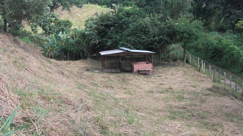Imagen 18 de 30 de Cerca Del Cc Daymar Guatire 04143184932