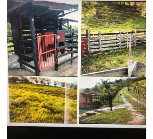 Fp-02 Finca ganadera En Caramanta Cerca A La Pintada