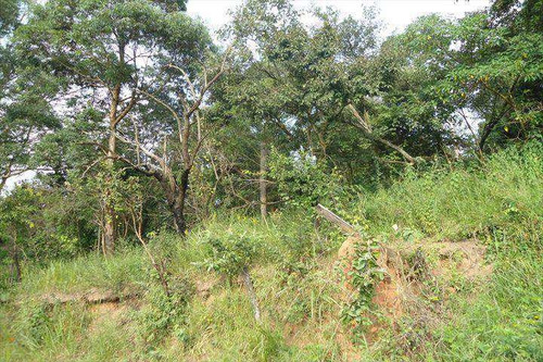 Imagem 1 de 6 de Terreno, Parque Mirante De Parnaíba, Santana De Parnaíba - R$ 1.44 Mi, Cod: 172000 - V172000