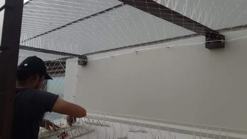 Imagen 3 de 6 de Pinchos Ahuyenta Palomas, Ahuyenta Pajaros, Anti Aves