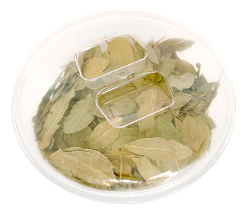 Kit 3 Potes Acrílico Redondo Com Tampa 12lts + Conchas 600ml