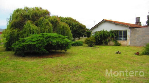 Imagen 4 de 15 de Oportunidad,casa A 200 Mts Del Mar, Con Frondosa Arboleda, 1000 M2 Cerco Perimetral, Alarma