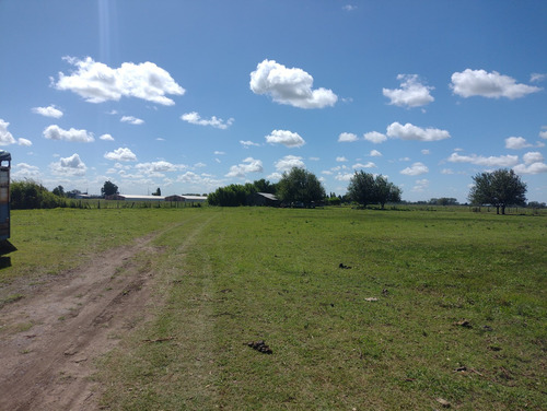 Campo En Venta Sobre Ruta 6, Marcos Paz