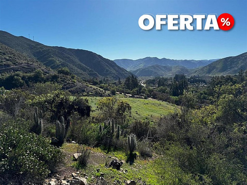 Sitio En Venta En Vicuña