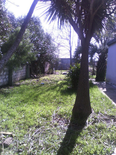Alquilo Apartamentos En San Carlos Maldonado