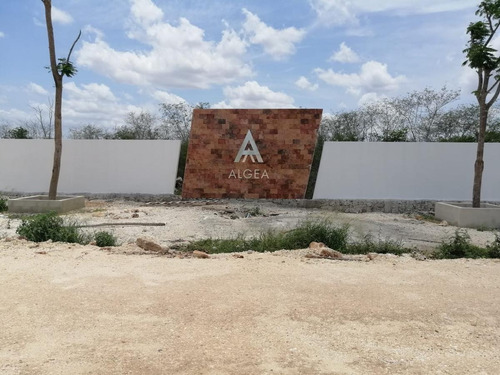 Imagen 5 de 13 de Terreno Venta En Merida, En Conkal. ! Listos Para Construir