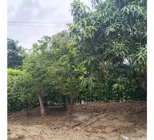 Vendo Lote En Tocaima Cundinamarca