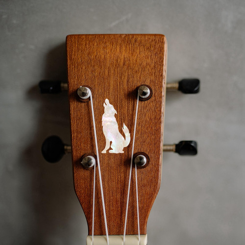 2 Pegatinas De Guitarra Profesional Calcomanías De De Nieve