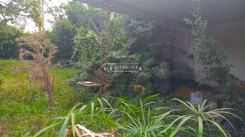 Imagen 3 de 7 de Casa En Venta En San Antonio De Padua