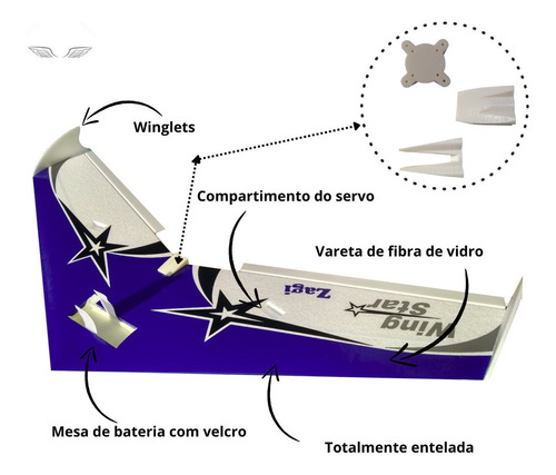 Asa Zagi Wing Star 1mtr Horizon Aeromodelo Isopor T5 Depron Cor Verde