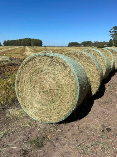 Fardos Redondos De Arroz En 33