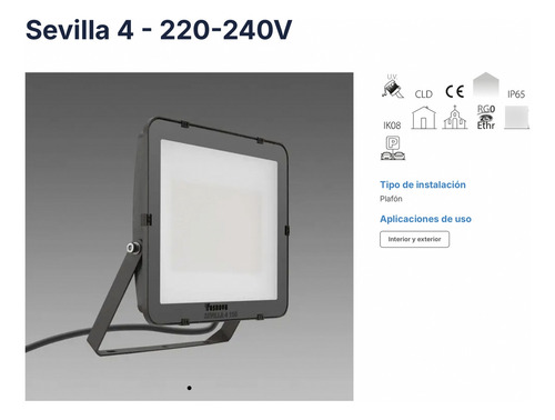 Foco Proyector De Área Asimétrico Professional 150w Disano
