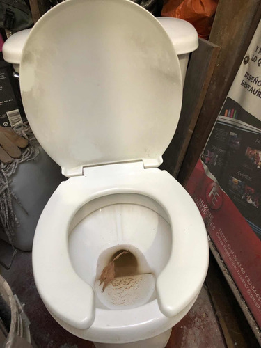 Imagen 2 de 10 de Leer Bien Sanitario Usado En Perfecta Condición Con Herrajes
