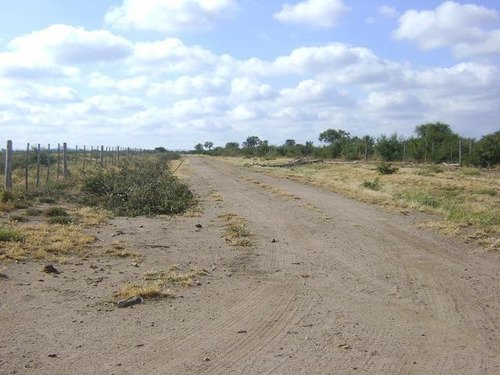 Imagen 7 de 30 de Quilino,campo Ganadero, 2700 Has