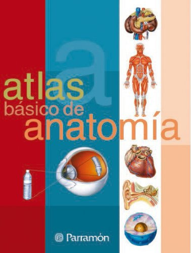 Atlas Bãâ¡sico De Anatomãâa, De Cassan, Adolfo. Editorial Parramon, Tapa Blanda En Español