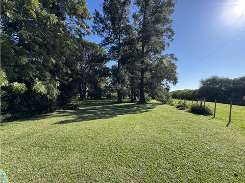 Vendo Lote De 1 Ha En Talita, Concepción Del Uruguay, Entre Ríos.
