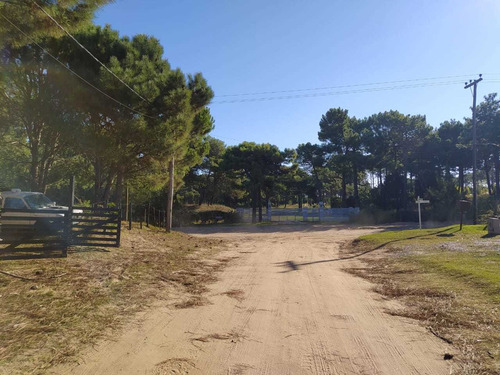 Cod 338 Lote Corbeta Cefiro