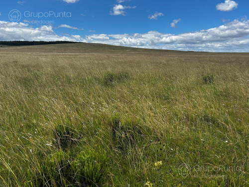 Campo En Venta - Rocha