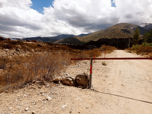 Lote Potrerillos