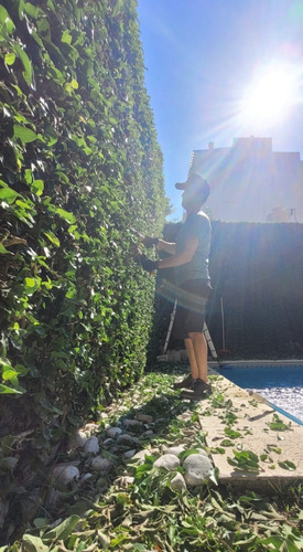 Servicios De Jardinería Y Paisajismo