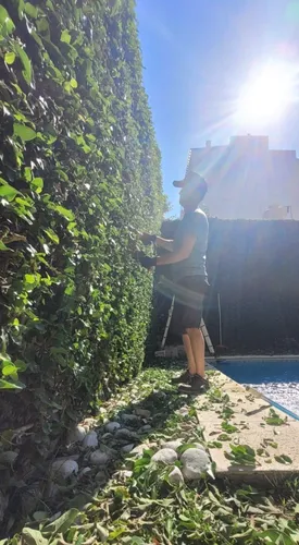 Servicios De Jardinería Y Paisajismo