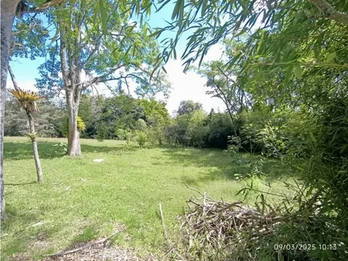 Vendo Lote En Llano Grande Vereda Cabeceras De 6.307 M² Sobre Vía