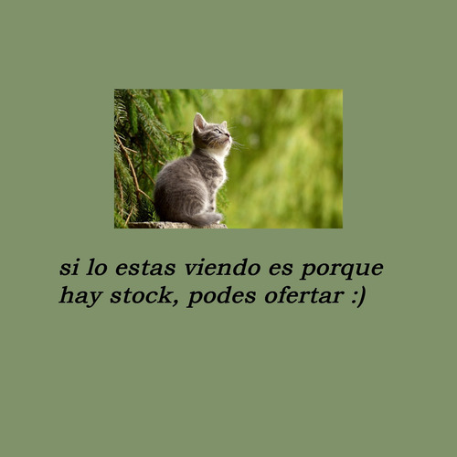 Bolsa De Algodon Estampada Con Bolsillo Amo A Mi Gato