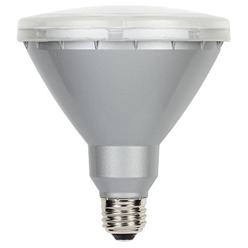 0311000 Bombilla Led Par38 De 15w (sustituye 90w) Exter...