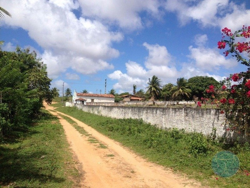 Imagem 4 de 5 de Terreno Em Pitangui - V-9509