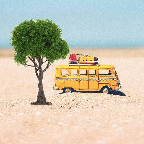 Árboles En Miniatura Para Maquetas Plantas En Miniatura Mode