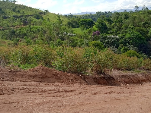 Imagem 9 de 12 de Pj* Proprietário Com Lotes Excelentes Com Vista Para Área Verde Confira *