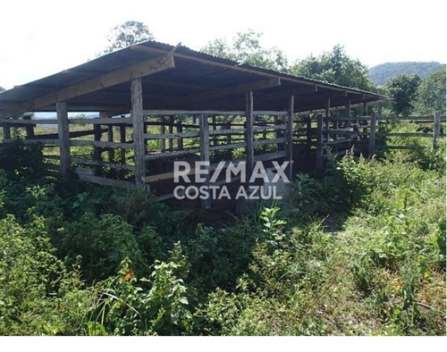 Remax Vende Finca De 80 Hectáreas A Desarrollar Precio De Oportunidad, Sector Riecito, Estado Falcon.