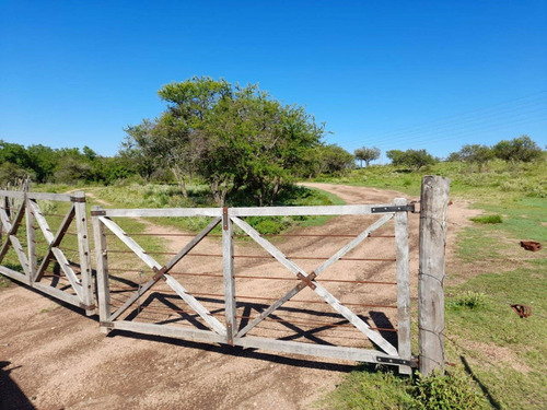 Imagen 4 de 4 de Lotes En Barrio Cerrado De Campo Tagliata