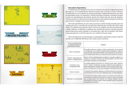 Montessori Meu P BOX de Atividades... Animais (Escolinha), de Piroddi, Chiara. Editorial Todolivro, capa mole em português, 2022