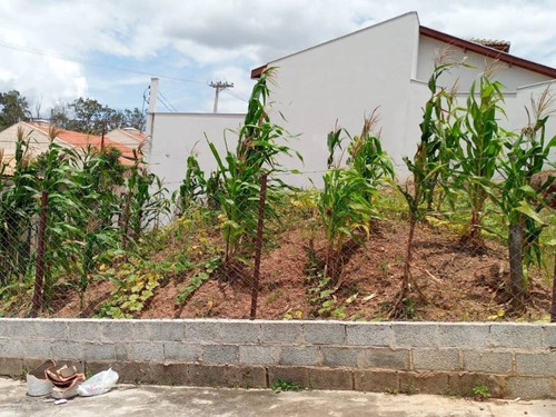 Terreno Na Cidade Nova I - V1040