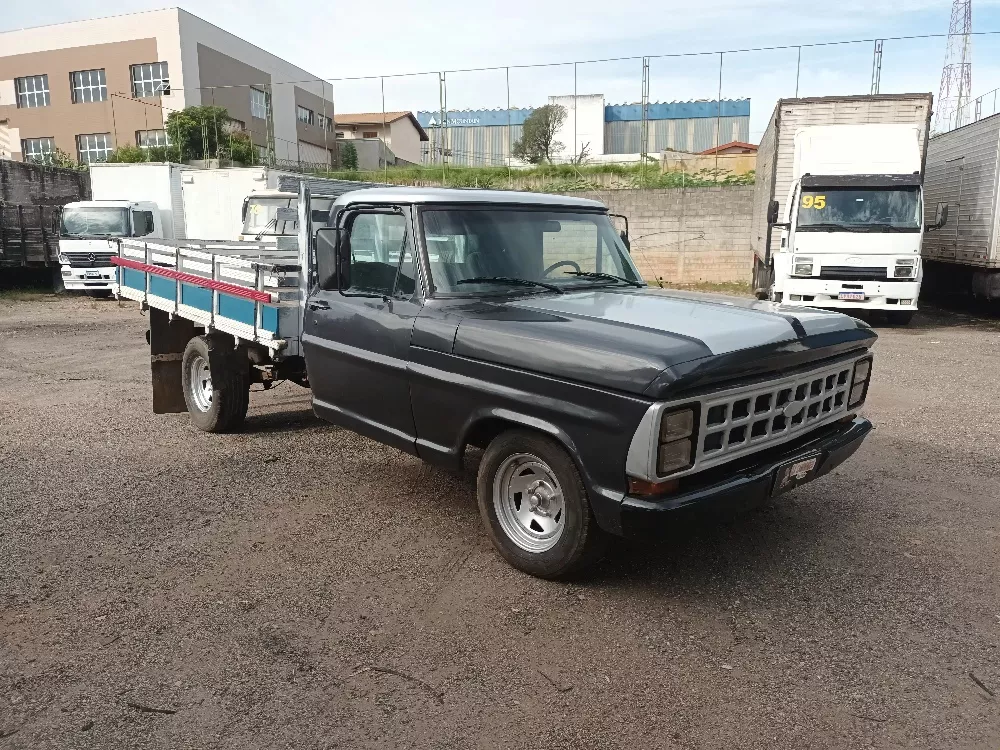 Ford F1000 F1000