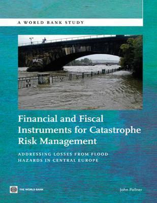 Libro Financial And Fiscal Instruments For Catastrophe Ri...