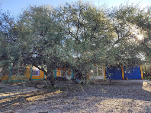 Venta Campo Quines