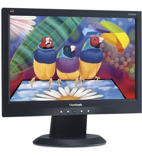 Monitor Lcd De 19 Pulgadas Viewsonic Dell Vga (Usado)