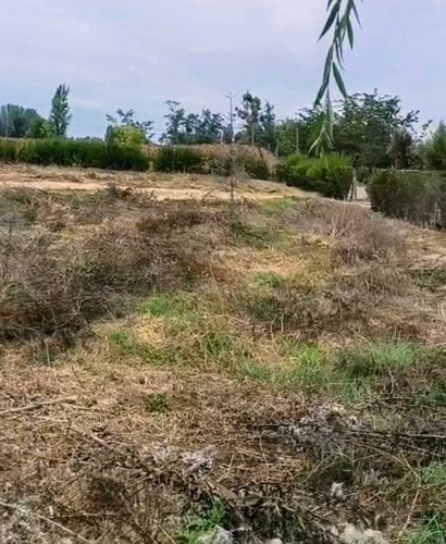 Excelente Terreno 3600 M2 Vi Región (177158)