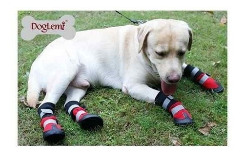 Botas Para Perros Talles S Color Rojo Mas Envio