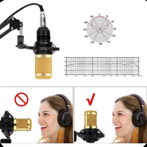 Kit Microfone ManoThor Condensador Bm800 Profissional Padrão Polar Unidirecional Suporte anti-choque Cabo XLR Fêmea X P2 Pop Filter Braço Articulado Prendedor Espuma Proteção Gravação Podcast