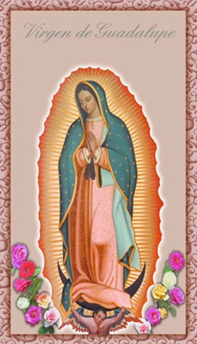 Virgen De Guadalupe 100 Estampas Enmicadas Tarjetas Cromo