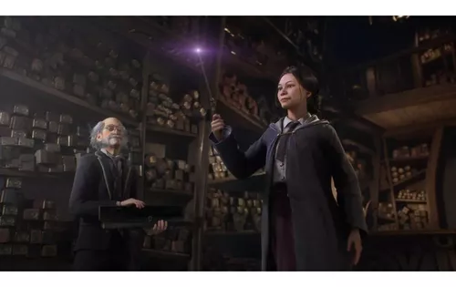 Jogo Harry Potter Hogwarts Legacy Ps4 Mídia Física